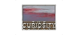 The Curiosity Company