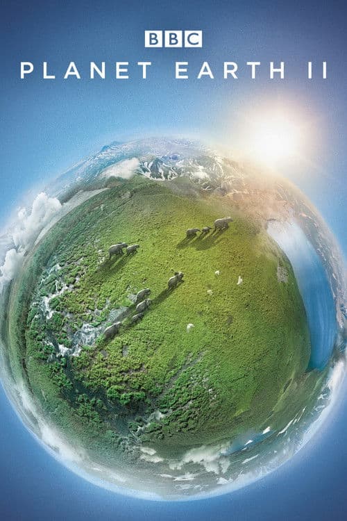 Bolygónk, a Föld 2