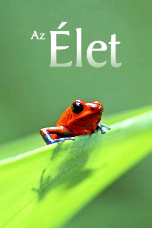 Az Élet